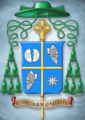 Arms (crest) of Roberto José da Silva