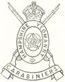 Hampshire Carabiniers, British Army.jpg