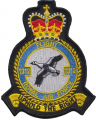 No 1312 Flight, Royal Air Force.png