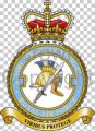 No 6 Force Protection Wing, Royal Air Force.jpg
