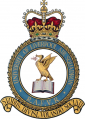 University of Liverpool Air Squadron, Royal Air Force Volunteer Reserve.png