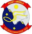 Helicopter Sea Combat Squadron 2 (HSC) Fleet Angels, US Navy.jpg