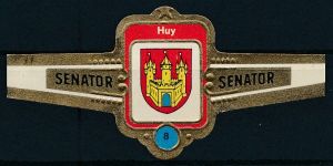 Huy.sen.jpg