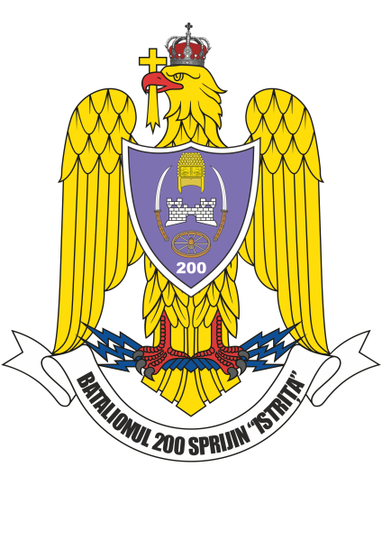 File:200th Support Battalion Istriţa, Romanian Army.png