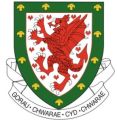 Football Association of Wales.jpg