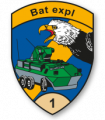 Reconnaissance Battalion 1, Swiss Army.png