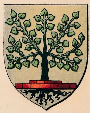 Wappen von Gersfeld/Coat of arms (crest) of Gersfeld
