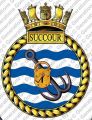 HMS Succour, Royal Navy.jpg