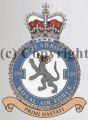 No 109 Squadron, Royal Air Force.jpg