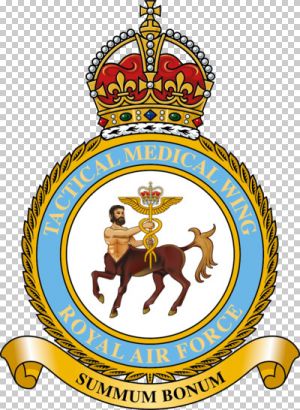 Tactical Medical Wing, Royal Air Force1.jpg