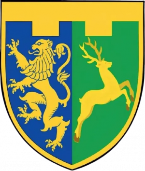 202nd Territorial Defence Battalion, Ukraine.png