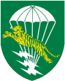 81st Airborne Commando Battalion, ARVN2.png