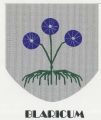 Wapen van Blaricum/Coat of arms (crest) of Blaricum