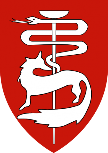 Coat of arms (crest) of the Southern Command Medical, Israel Defence Forces