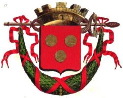 Blason de Rodez / Arms of Rodez