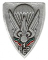1st Foreign Parachute Regiment, French Army.jpg