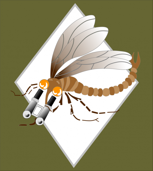 File:33rd Observation Squadron, Polish Air Force.png