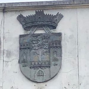 Coat of arms (crest) of Oliveira de Azeméis