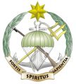 Special Forces of the High Command, Mexican Navy.jpg