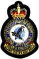 Tactical Fighter Group, Royal Australian Air Force.jpg