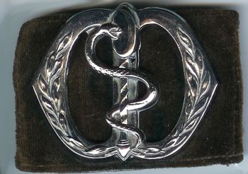 Beret Badge of the Dentists and Pharmacists, Netherlands Army