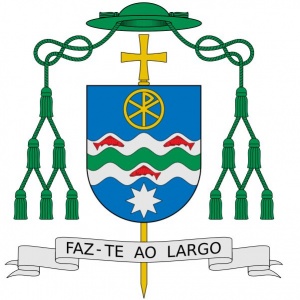 Arms of António José Cavaco Carrilho