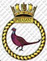 HMS Pheasant, Royal Navy.jpg