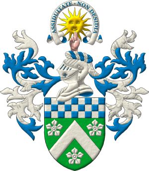 Arms of Rhys Anthony Lochead