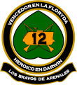 Mechanized Infantry Regiment No 12 General Arenales, Argentine Army.png