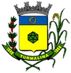Arms (crest) of Turmalina (São Paulo)