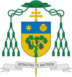 Arms (crest) of Celso Morga Iruzubieta
