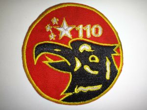 110th Fighter Squadron, AFVN.jpg