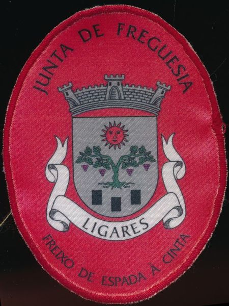 File:Ligares.patch.jpg