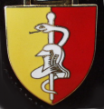 Medical Battalion 1, Germany.png