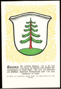 Wappen von/Blason de Bauma