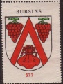 Bursins.hagch.jpg