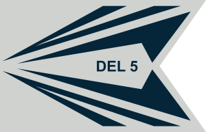 Space Delta 5, US Space Forceguidon.png