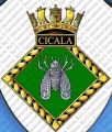 HMS Cicala, Royal Navy.jpg