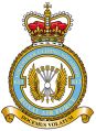 No 613 Volunteer Gliding Squadron, Royal Air Force.jpg