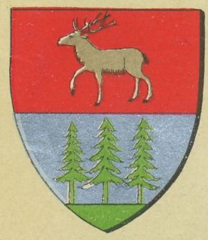 Stema Storojineț (county)