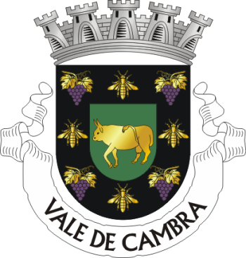Brasão de Vale de Cambra/Arms (crest) of Vale de Cambra