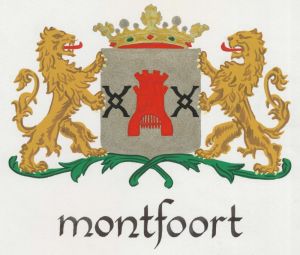 Montfoort.gm.jpg