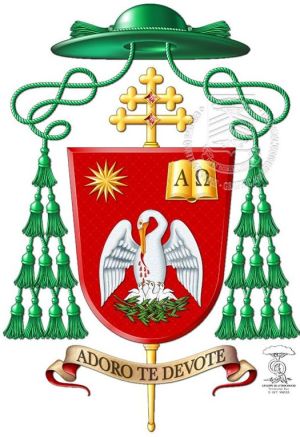 Arms of Tomasz Grysa