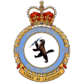 No 445 Squadron, Royal Canadian Air Force.png