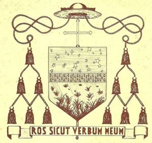 Arms of Mario Rossi