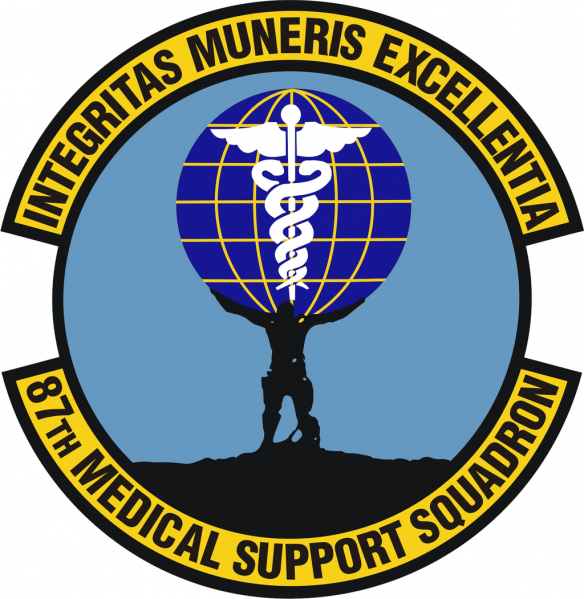 File:87th Medical Support Squadron, US Air Force.png