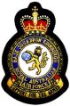 Base Squadron Edinburgh, Royal Australian Air Force.jpg
