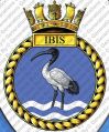 HMS Ibis, Royal Navy.jpg