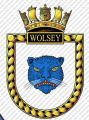 HMS Wolsey, Royal Navy.jpg