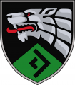 Special Forces Rukh Oporu North Unit, Ukraine.png